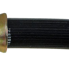 Dorman H380298 Hydraulic Brake Hose