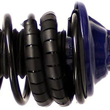Monroe Shocks & Struts RoadMatic 181880 Suspension Strut and Coil Spring Assembly