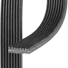 Acdelco 8Dk555 Professional Serpentine Belt, 1 Pack