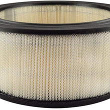 Baldwin PA2061 Air Element