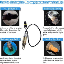 Heated Oxygen Sensor for Ranger Rover BMW 320 323 325 328 330 525I 528I 530I 540I 750IL 850CI M5 X3 X5 Z3 Z4 Z8 Replace 13477