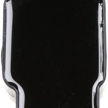 Delphi GN10244 Plug Top Coil