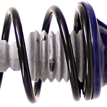 Monroe Shocks & Struts RoadMatic 181994 Suspension Strut and Coil Spring Assembly