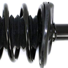 Strut Assembly Compatible with Toyota Corolla 93-02 / Prizm 98-02 Front Right Assembly Gas-Charged Twin-Tube