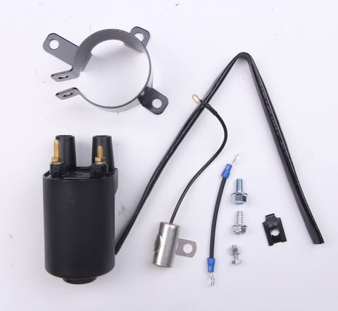 Goodbest New Ignition Coil Kit for Onan 541-0522 P Series, BGD, BGE, BGM, NHD, NHE & NHM,Replace #166-0761,166-0820