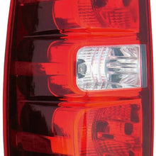 Dorman 1611384 Driver Side Tail Light Assembly for Select Chevrolet Models