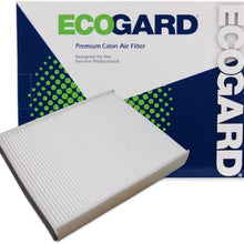ECOGARD XC36174 Premium Cabin Air Filter Fits Ford Escape 2013-2019, Focus 2012-2018, Transit Connect 2014-2020, C-Max 2013-2018, GT 2017-2019