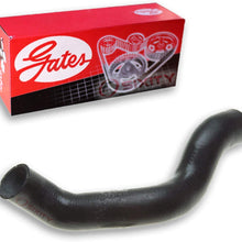 Gates Lower Radiator Coolant Hose for 2000-2003 Dodge Durango 4.7L V8 - Antifreeze Pipe Tube