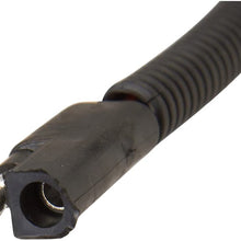 Spectra Premium CH04 Distributor
