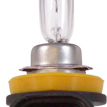 EVO 93390 Formance White 4500K Spectras Xenon H11 Bulb