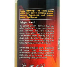 Chemical Guys Signature Scent Premium Air Freshener and Odor Eliminator (16 oz)