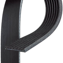 ACDelco 7K834 Professional V-Ribbed Serpentine Belt