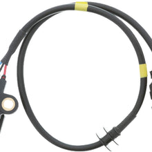 Motorad 1KR159 Engine Crankshaft Position Sensor