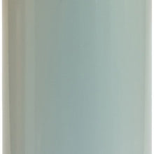 Luber-finer LFF2749 Heavy Duty Fuel Filter, White