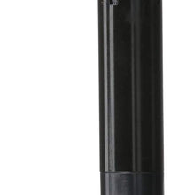 Delphi GN10168 Ignition Coil