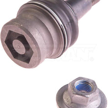 DORMAN BJ12195PR Suspension Ball Joint