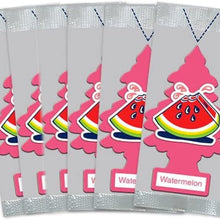 LITTLE TREES Car Air Freshener | Hanging Paper Tree for Home or Car | Watermelon Scent | 6 Pack
