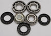 All Balls Differential Bearing and Seal Kit