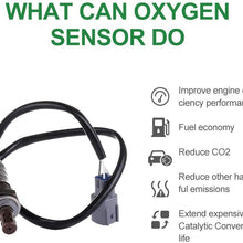 SCITOO O2 Oxygen Sensor Air Fuel Ratio Sensor Upstream 234-9009 234-9023 fit for 1999-2003 Lexus RX300 1998-2000 Toyota Camry 2001-2003 Toyota Highlander 2001-2003 Toyota RAV4