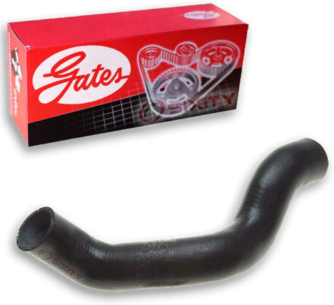 Gates Lower Radiator Coolant Hose for 2000-2004 Dodge Dakota 4.7L V8 - Antifreeze Pipe Tube