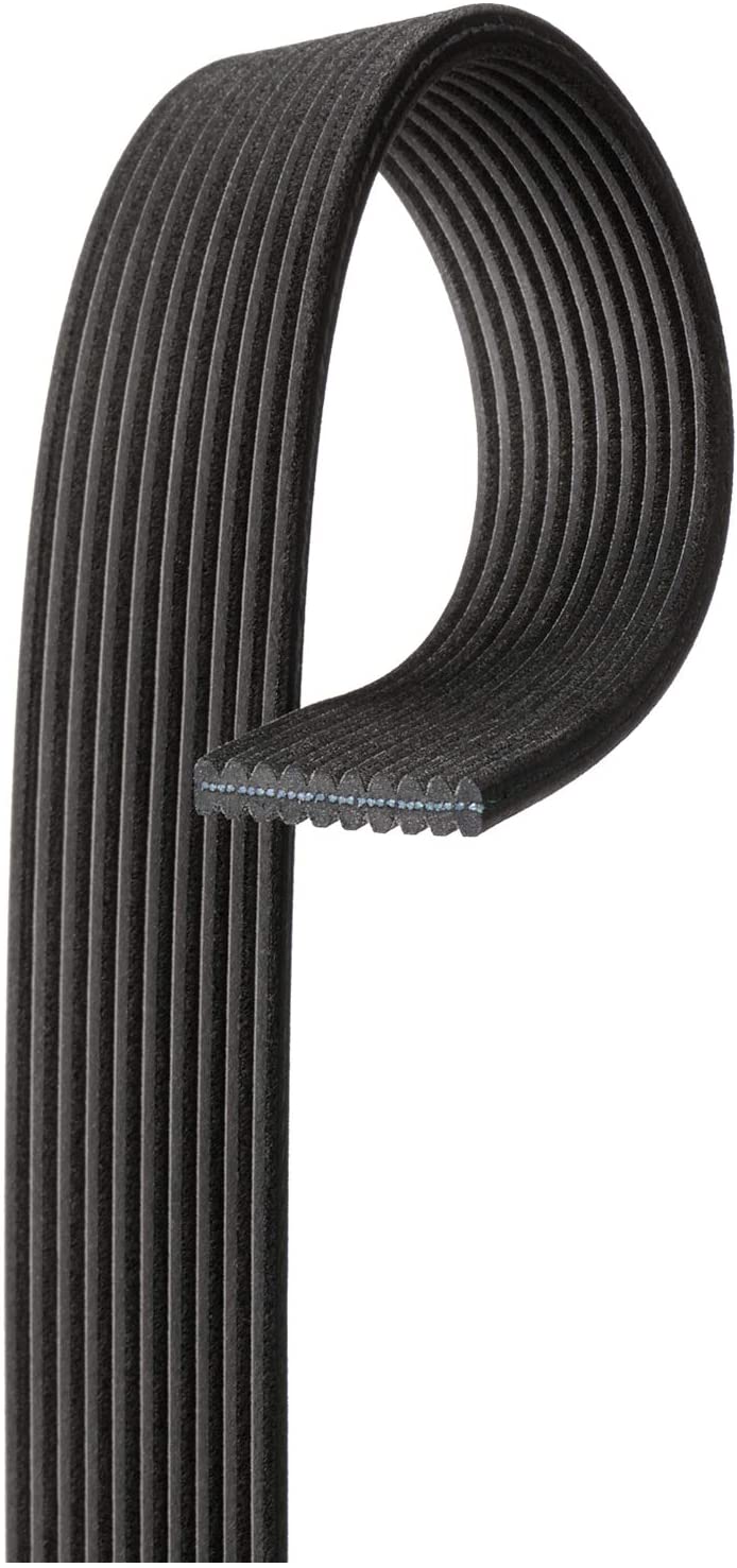 ACDelco 10DK743 Professional Serpentine Belt, 1 Pack