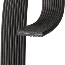ACDelco 10DK743 Professional Serpentine Belt, 1 Pack