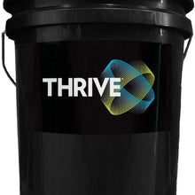 Thrive 10W-30 CK-4 Diesel Oil 5 Gallon Pail