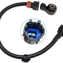 Knock Sensor 22060-30p00 & Wire Harness 24079-31U01 For Infiniti Q45 G20 J30 QX4 I30 Nissan Maxima Pathfinder