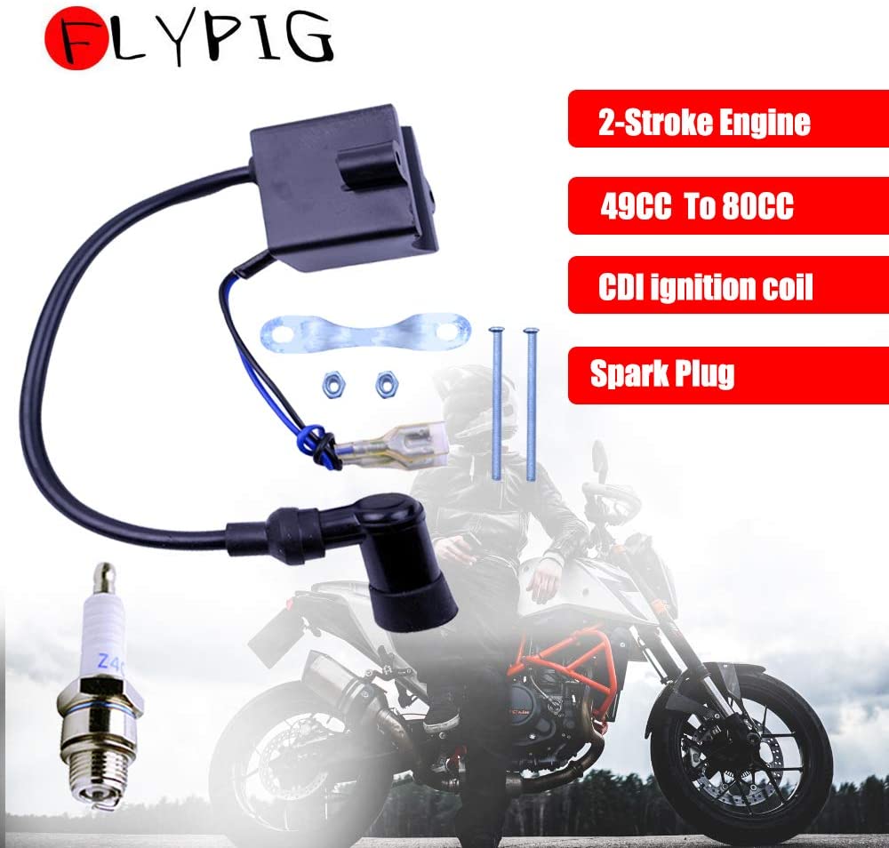 FLYPIG CDI Ignition Coil + Magneto Coil + Spark Plug for 49cc 50cc 60cc 80cc 2-Stroke Engines Motor Motorized Bicycle Bike