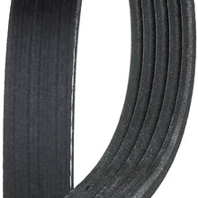 ACDelco 5K400 Professional V-Ribbed Serpentine Belt
