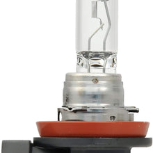 SYLVANIA H11 Basic Halogen Headlight Bulb, (Pack of 1)