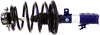 Monroe Shocks & Struts RoadMatic 181678 Suspension Strut and Coil Spring Assembly