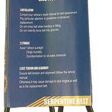 LOSTAR Serpentine Belt Fits 00-12 Toyota Yaris Echo DOHC 1.5L l4 4PK1180