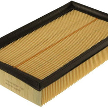 Motorcraft Air Filter