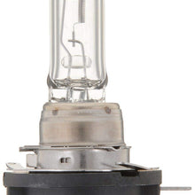 Bosch Automotive H11BST H11BST Light Bulb