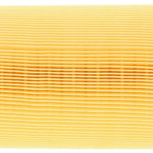 MAPCO Air Filter (60161)