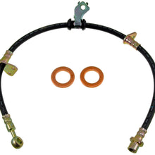 Dorman H380056 Hydraulic Brake Hose