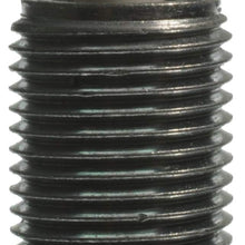 Champion Spark Plug 7440 Double Platinum Spark Plug