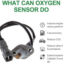 Oxygen Sensor o2 02 Downstream Compatible with 250-24220 2008-2014 Scion xB 2004-2007 Toyota Highlander 2004-2006 Lexus RX330 2004-2006 Toyota Sienna