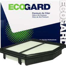 ECOGARD XA6171 Air Filter