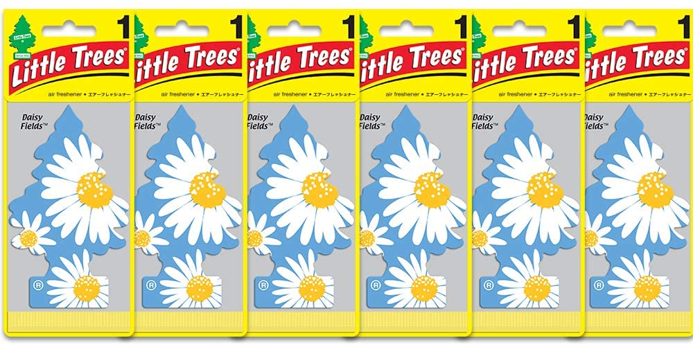 LITTLE TREES Car Air Freshener | Hanging Paper Tree for Home or Car | Daisy Fields | 6 Pack