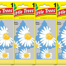 LITTLE TREES Car Air Freshener | Hanging Paper Tree for Home or Car | Daisy Fields | 6 Pack