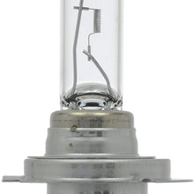 SYLVANIA - H7 Basic - Halogen Bulb for Headlight, Fog, Daytime Running Lights, and Cornering Applications (Contains 1 Bulb)