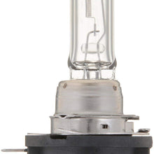 Bosch Automotive H11BST H11BST Light Bulb