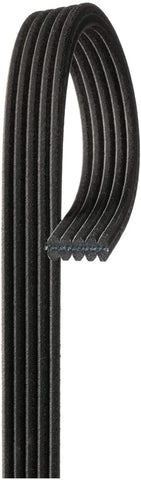 ACDelco 5DK565 Professional Double-Sided V-Ribbed Belt