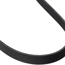 Motorcraft JK6-1063A Drive Belt