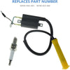 Ignition Coil & Spark Plug Fits for  Honda Sportrax 400 TRX400EX XR400R 30500-HN1-003