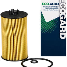 ECOGARD X10649 Premium Cartridge Engine Oil Filter for Conventional Oil Fits Chevrolet Equinox 1.6L DIESEL 2018-2019, Cruze 1.6L DIESEL 2017-2019 | GMC Terrain 1.6L DIESEL 2018-2019