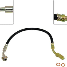Dorman H38554 Hydraulic Brake Hose