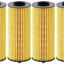 Fram CH10955 Extra Guard 10K Mile Change Interval Oil Filter